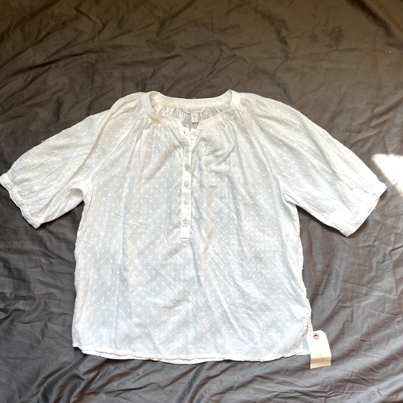 Garnet Hill Elbow-Sleeve Swiss-Dot Blouse - Picture 1 of 4